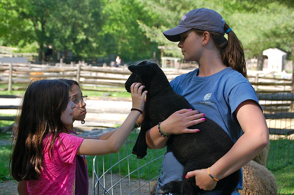 Kinderboerderij Dierenvreugd