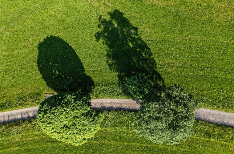 Zomerworkshop Schoon zonder Zooi: deelnemers maken milieuvriendelijke schoonmaakmiddelen bij New Terra in Hoofddorp